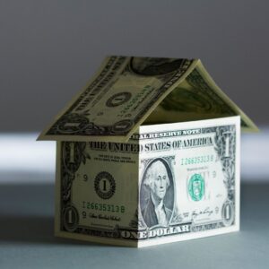 home made of dollar bills