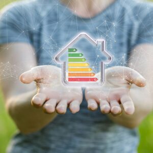 home outline with energy levels