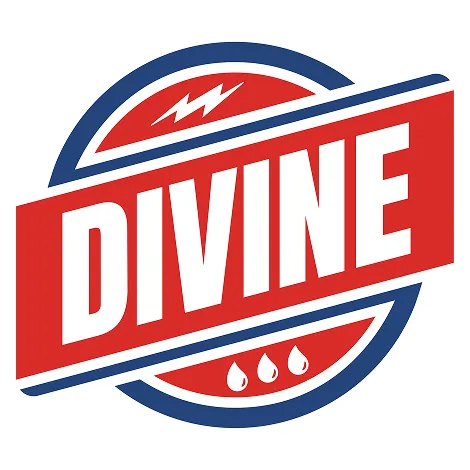 Divine Logo Large
